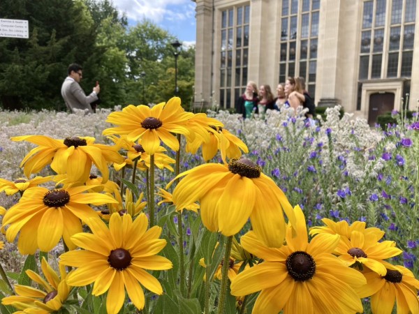 Photograph taken in royal fort with yellow flowers and students in the background.